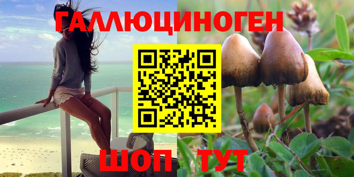 Галлюциногенные грибы GOLDEN TEACHER Ленинск-Кузнецкий